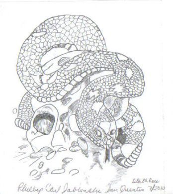Phillip Jablonski Rattlesnake and Skull in pencil
