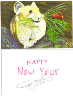 Roy Norris 2010 Christmas card print - signed in full and dated on back